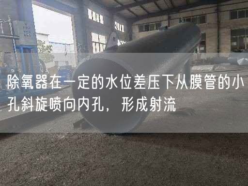 除氧器在一定的水位差壓下從膜管的小孔斜旋噴向內(nèi)孔，形成射流